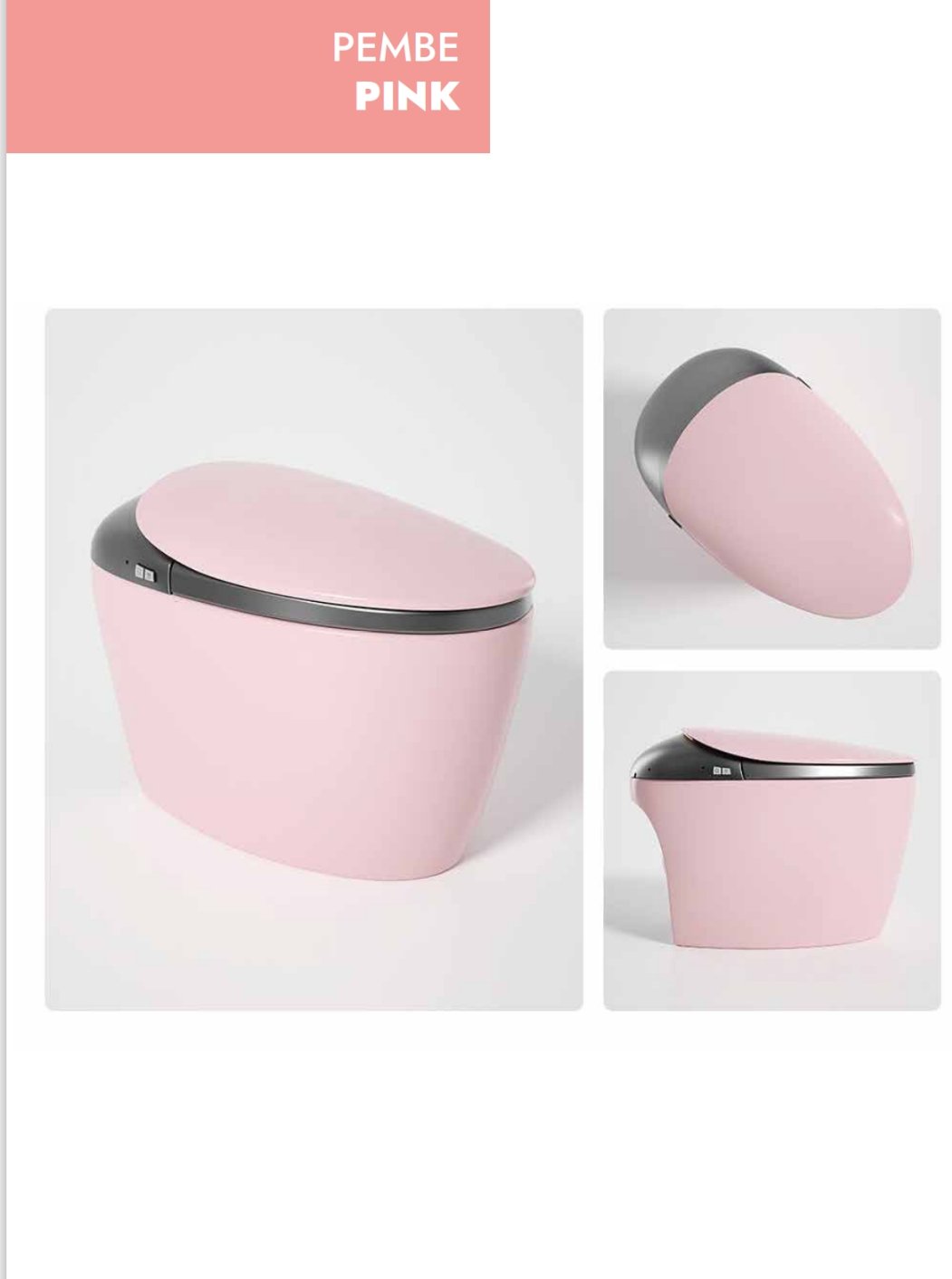 GR 1858 Duvara Monte Smart Klozet Pınk